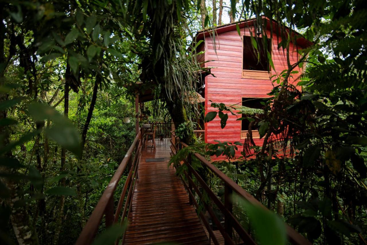 Tominejo Ecolodge - Casas En Los Arboles Neira Exterior photo