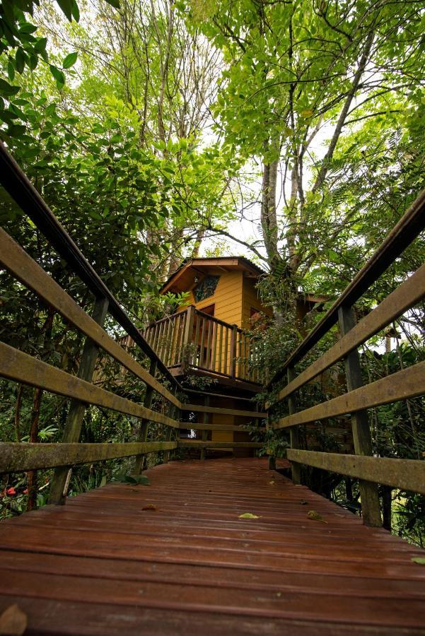 Tominejo Ecolodge - Casas En Los Arboles Neira Exterior photo