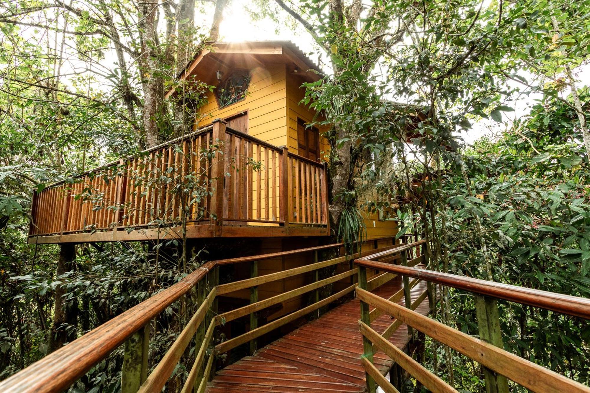 Tominejo Ecolodge - Casas En Los Arboles Neira Exterior photo