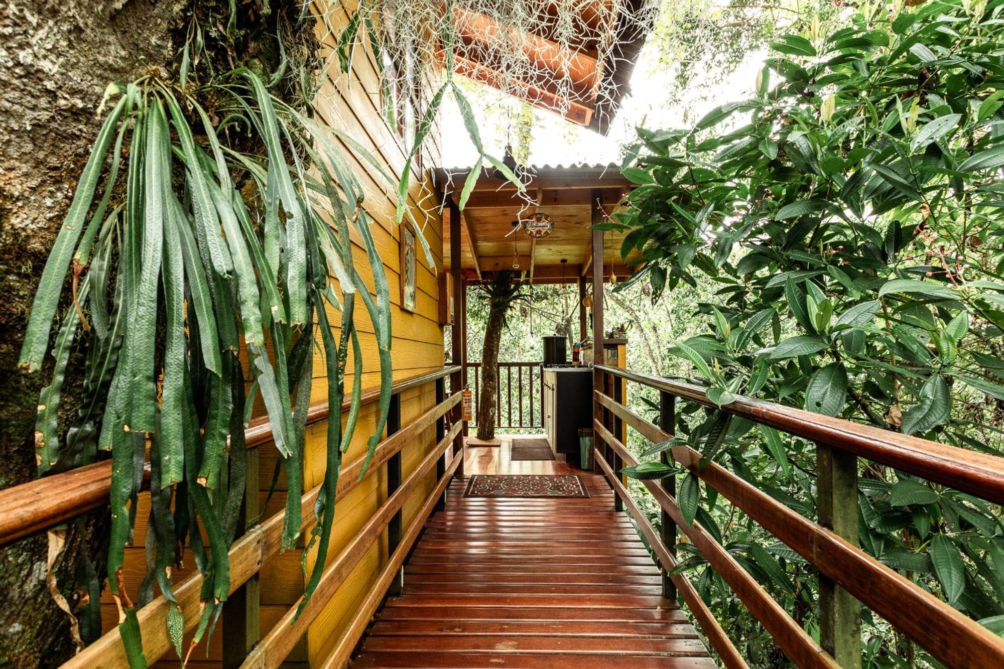 Tominejo Ecolodge - Casas En Los Arboles Neira Exterior photo